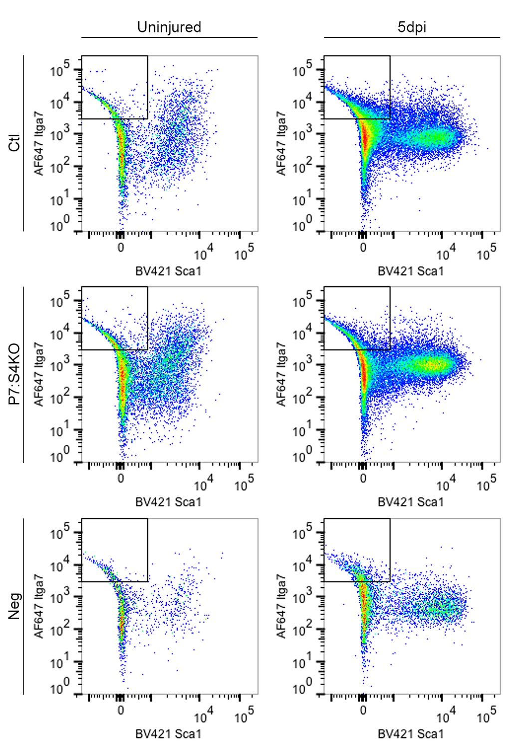 Figures and data in Smad4 restricts differentiation to promote ...