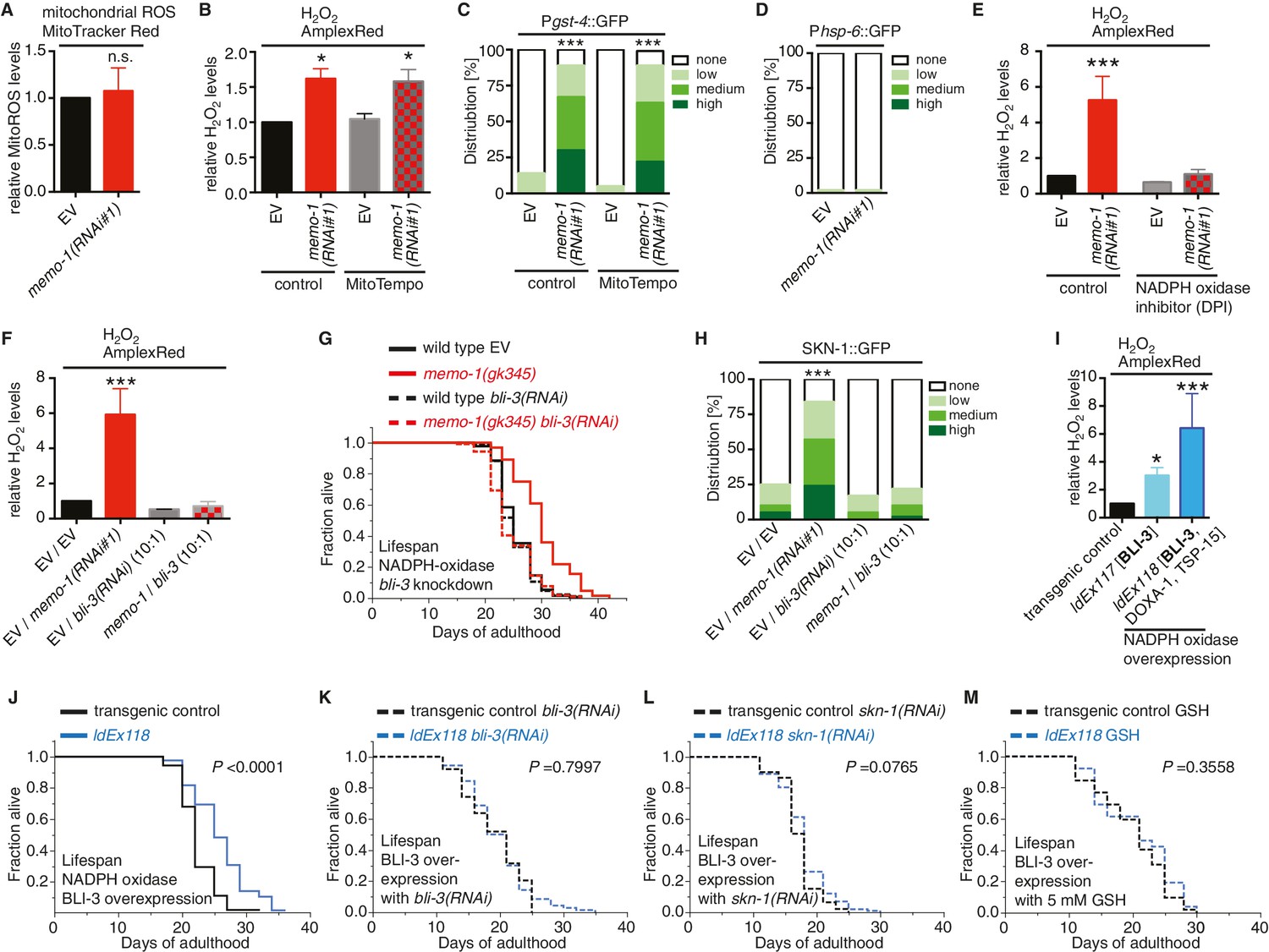 NADPH Oxidase Mediated Redox Signaling Promotes Oxidative Stress