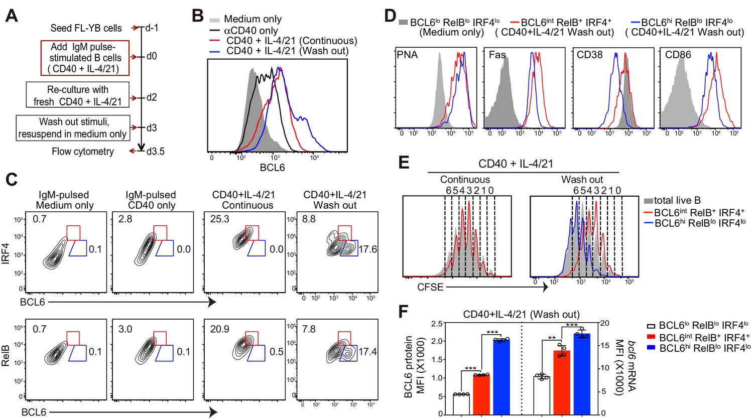 Figures And Data In Germinal Center B Cell Development Has Distinctly ...