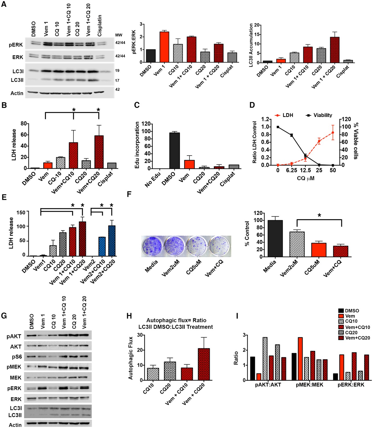 Figures and data in Autophagy inhibition overcomes multiple mechanisms ...