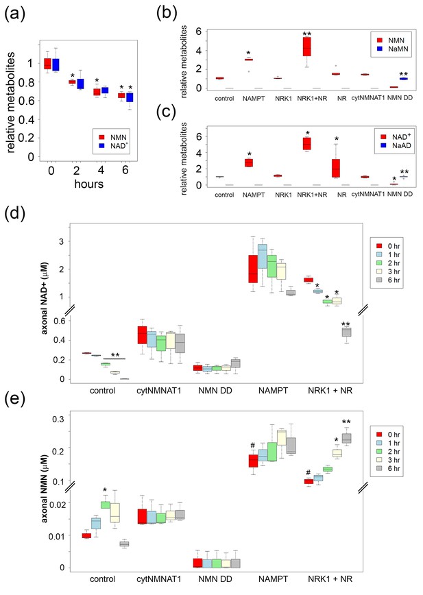 NMNAT1 inhibits axon degeneration via blockade of SARM1-mediated NAD+ ...