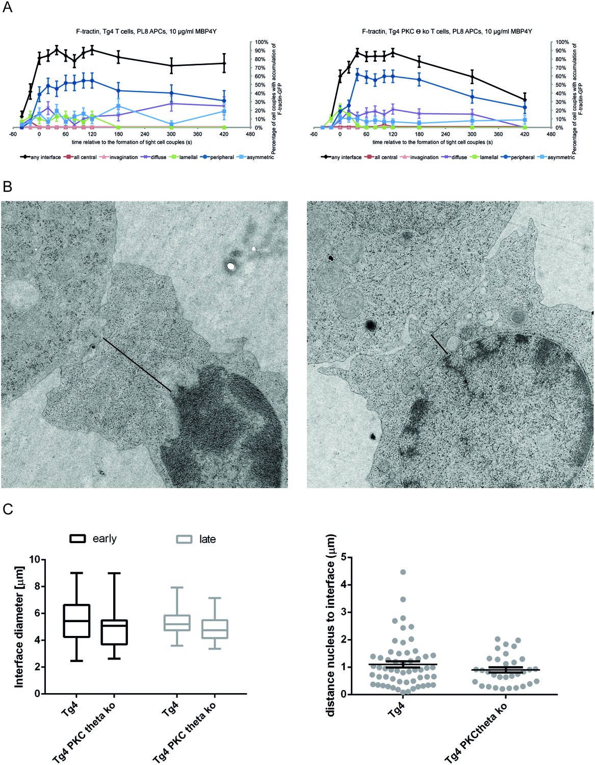 Figures and data in PKCθ links proximal T cell and Notch signaling ...