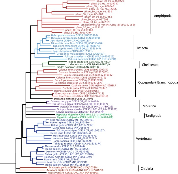 Figures And Data In The Genome Of The Crustacean Parhyale Hawaiensis A