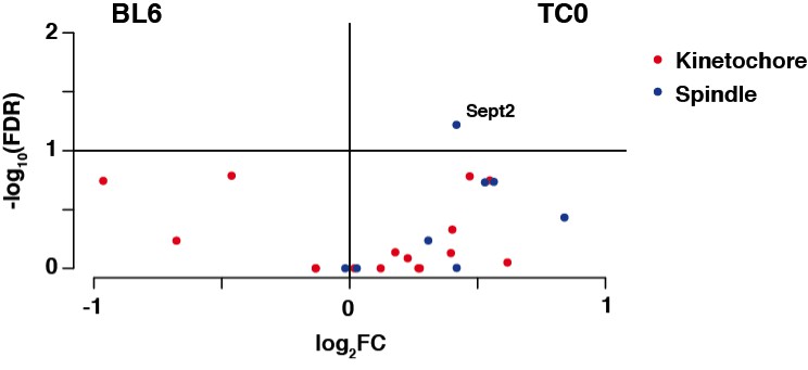 Successful transmission and transcriptional deployment of a human ... Biology Diagrams