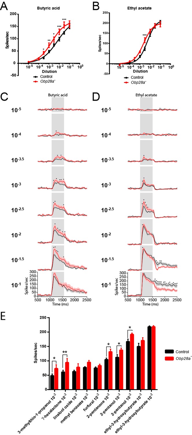 Organization and function of Drosophila odorant binding