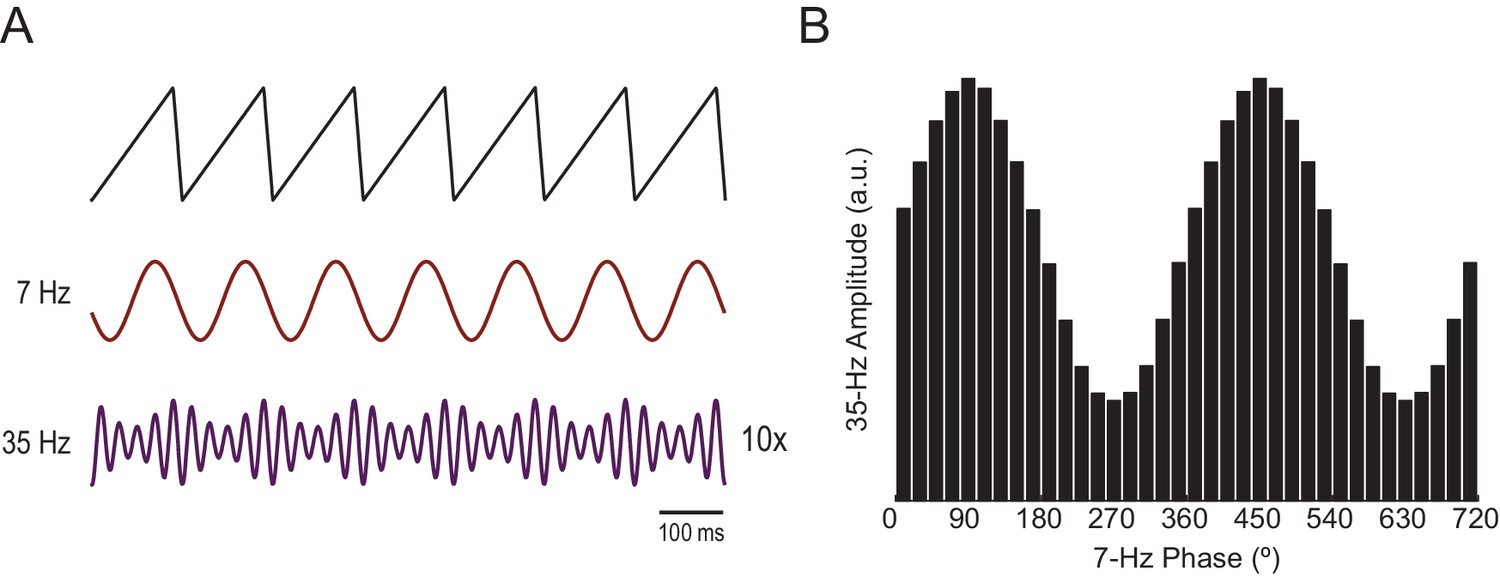 Figures And Data In On Cross Frequency Phase Phase Coupling Between