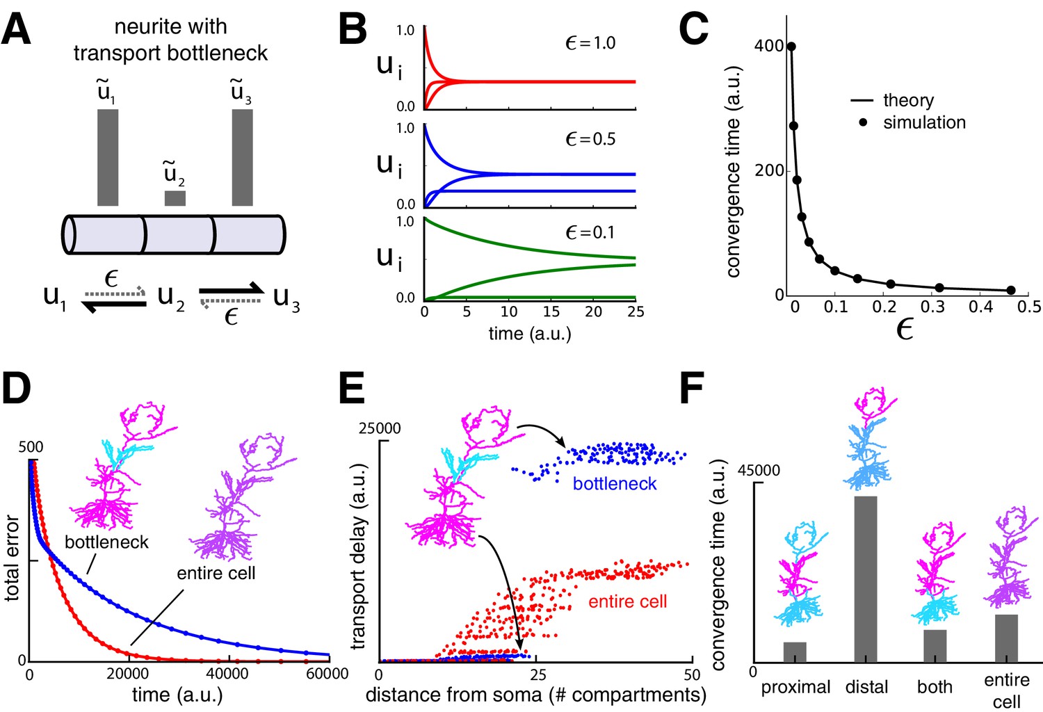 【SALE／55%OFF】 trafficking Dendritic faces speed critical physiologically 洋書