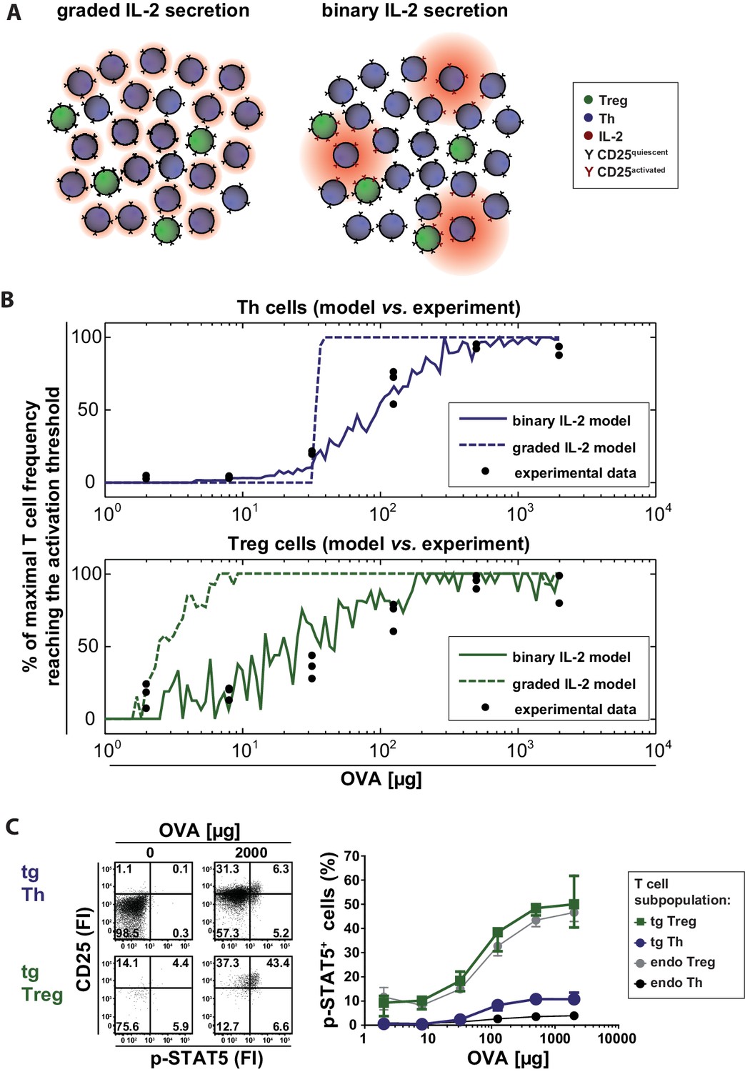 Adequate Immune Response Ensured By Binary Il 2 And Graded Cd25 Expression In A Murine Transfer 1210