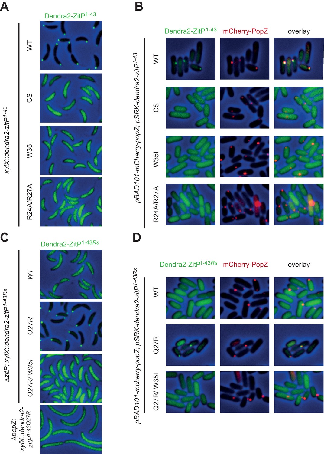 Figures And Data In Modularity And Determinants Of A (bi-)polarization ...