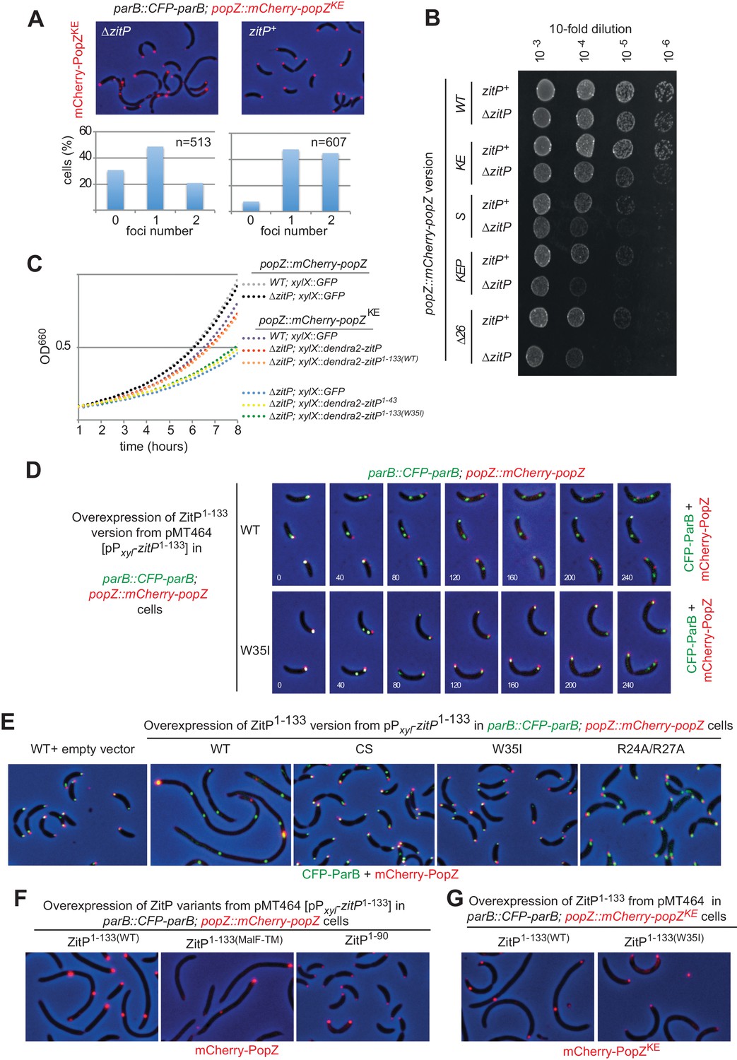 Figures And Data In Modularity And Determinants Of A (bi-)polarization ...