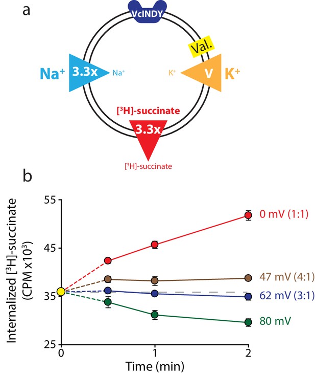 A General Method For Determining Secondary Active Transporter Substrate ...