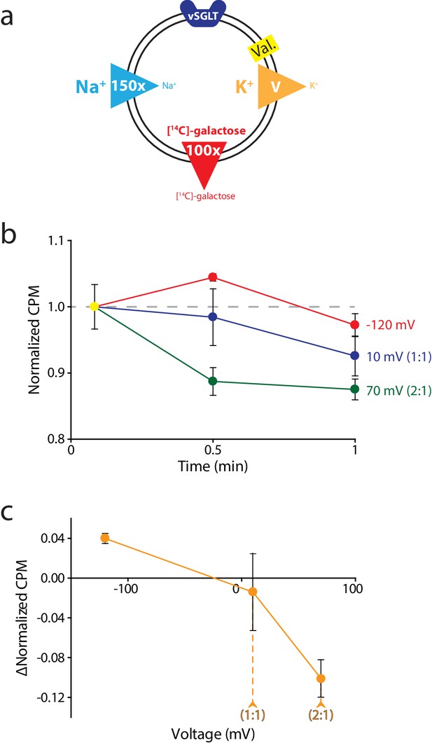 A General Method For Determining Secondary Active Transporter Substrate ...