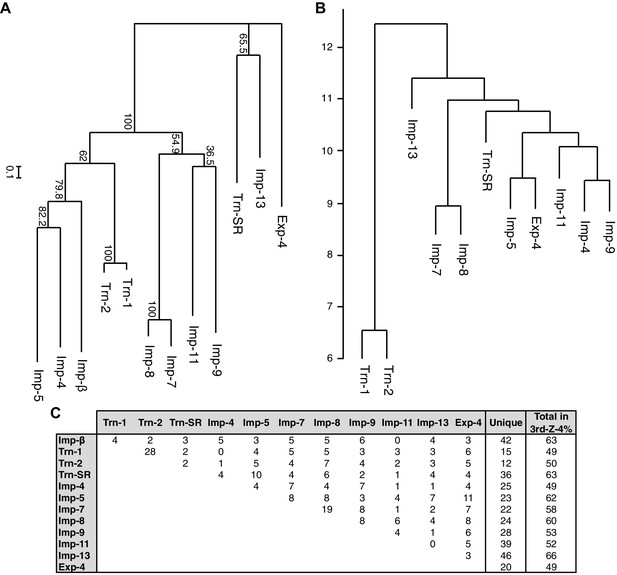 Extensive cargo identification reveals distinct biological roles of the ...