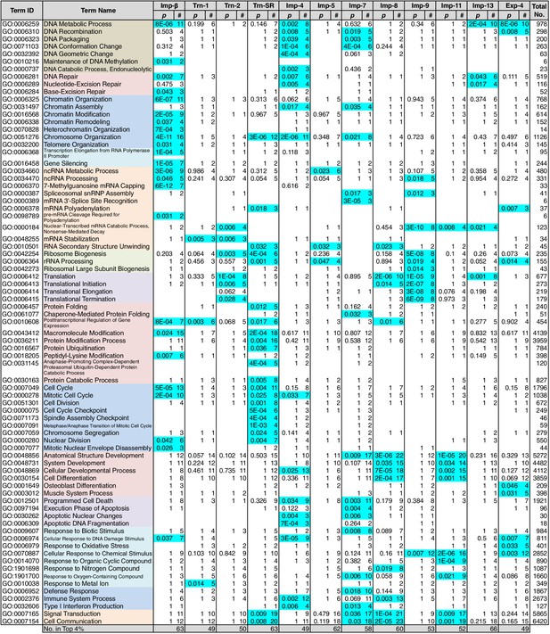 Extensive cargo identification reveals distinct biological roles of the ...