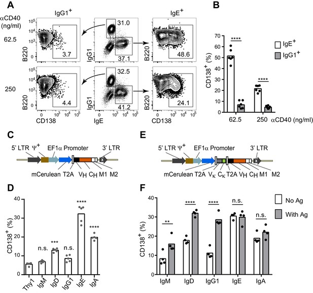 Figures And Data In Regulation Of B Cell Fate By Chronic Activity Of ...