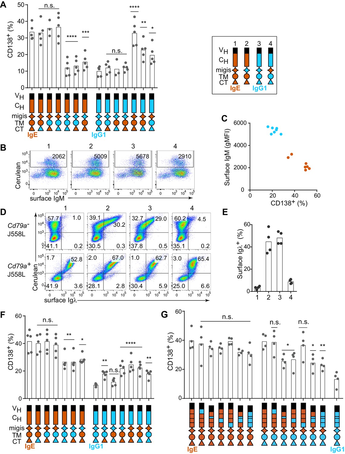 Figures And Data In Regulation Of B Cell Fate By Chronic Activity Of ...