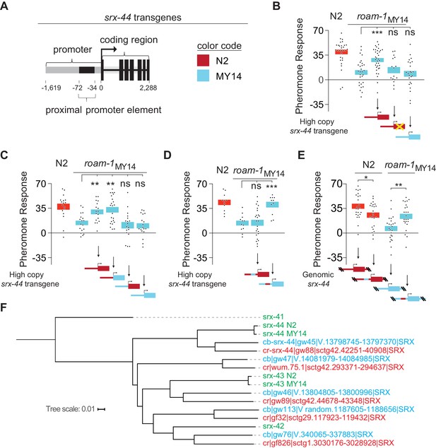 Figures and data in Regulatory changes in two chemoreceptor genes ...