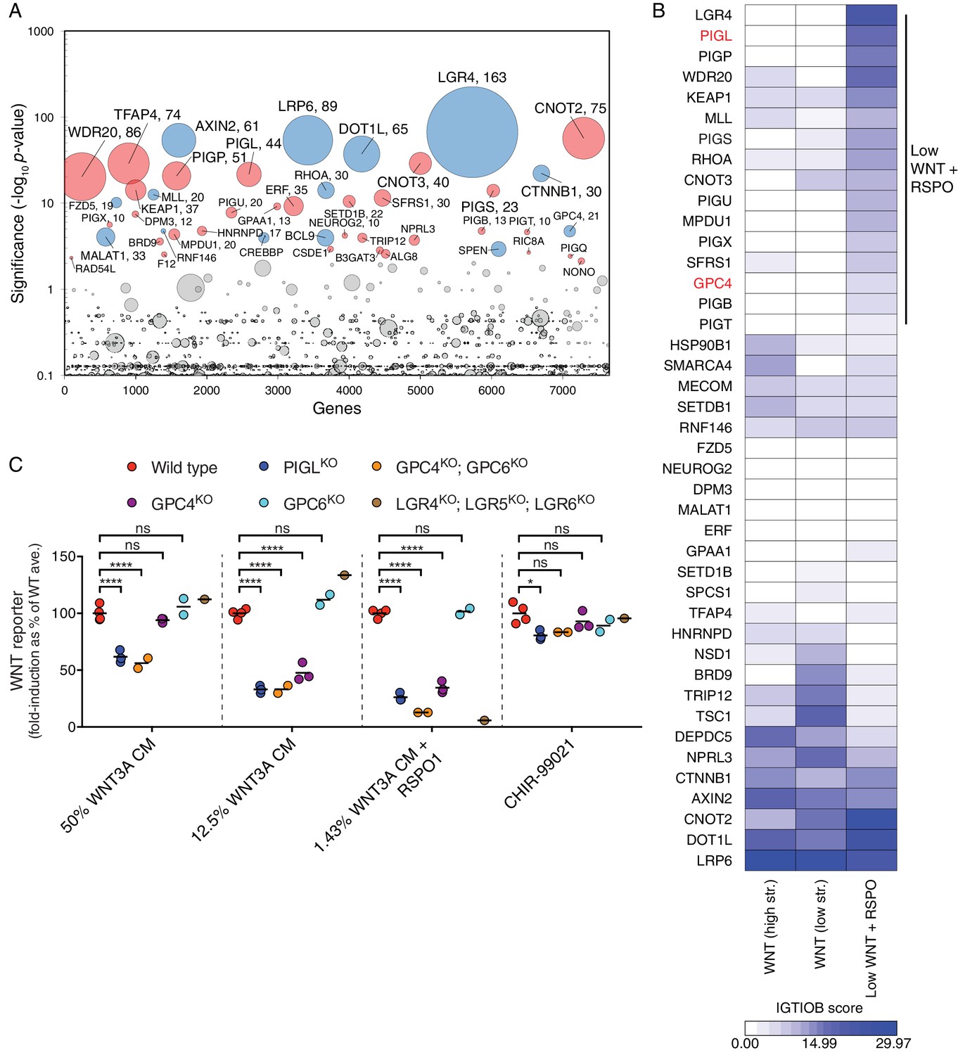 Comparative genetic screens in human cells reveal new regulatory ...