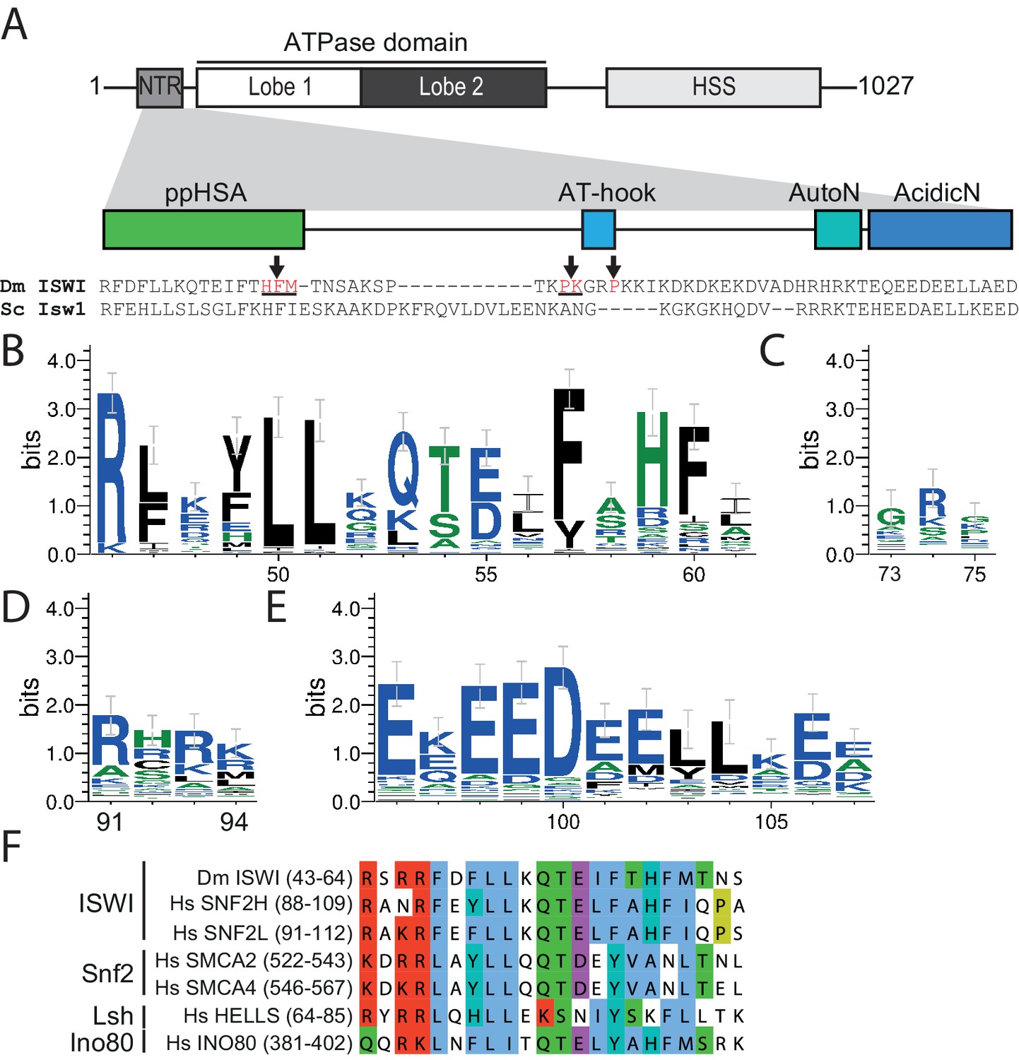 Concerted regulation of ISWI by an autoinhibitory domain and the H4 N ...
