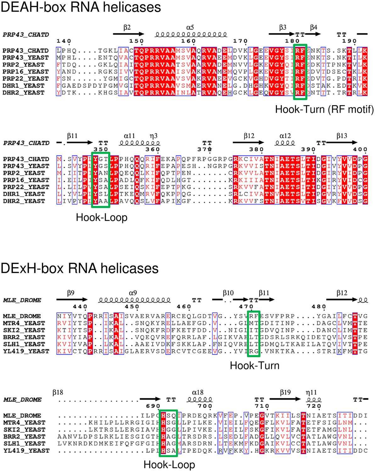 Figures And Data In Structural Insights Into The Mechanism Of The DEAH ...