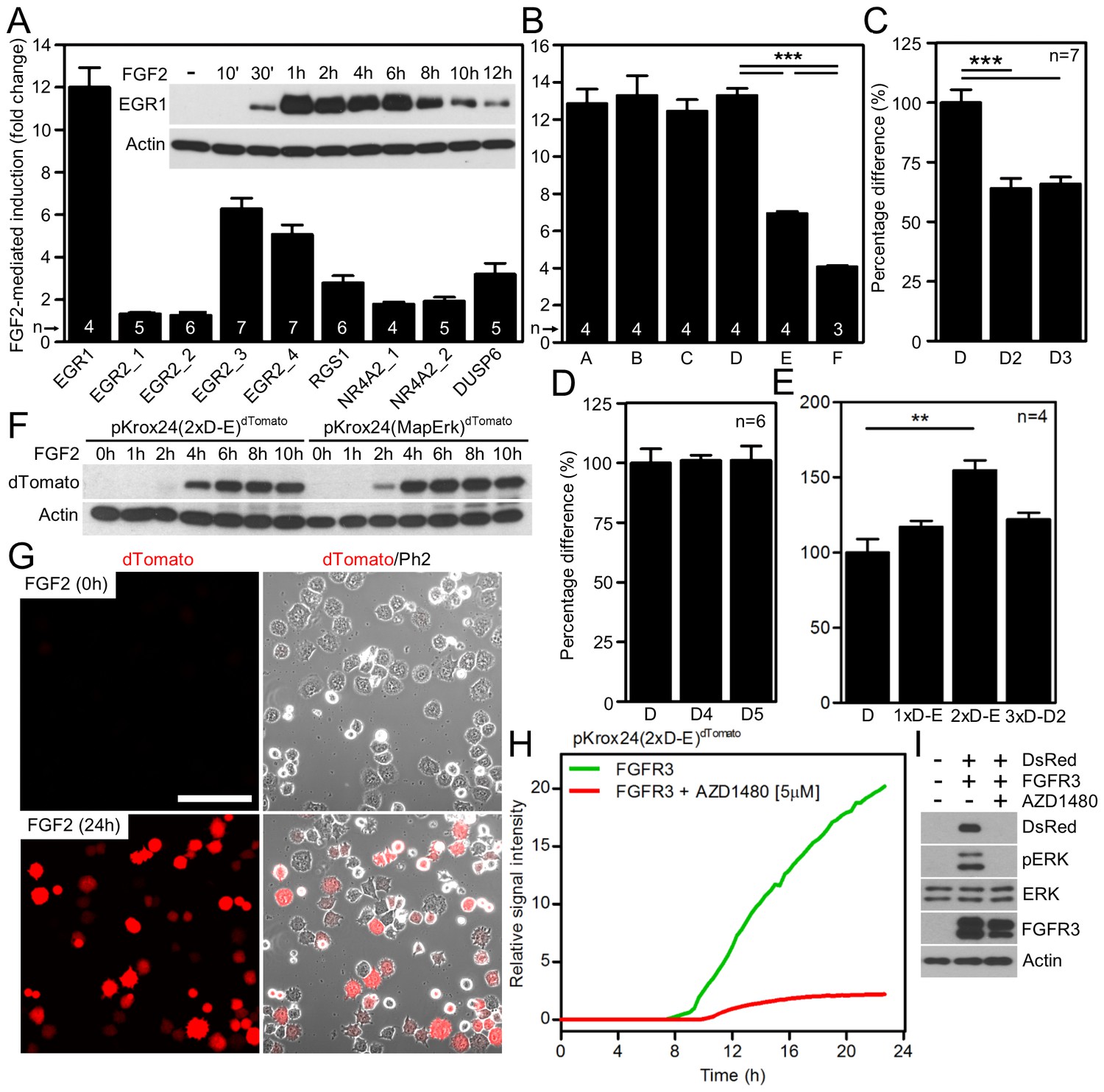 Figures And Data In One Reporter For In Cell Activity Profiling Of