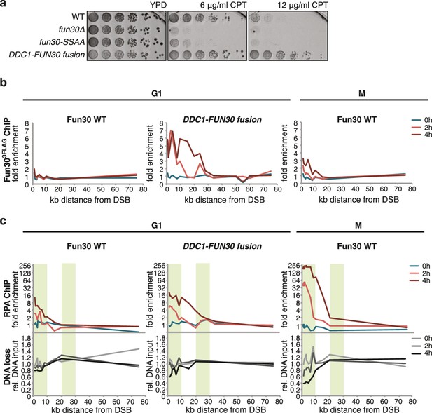 Figures And Data In Targeting Of The Fun Nucleosome Remodeller By The