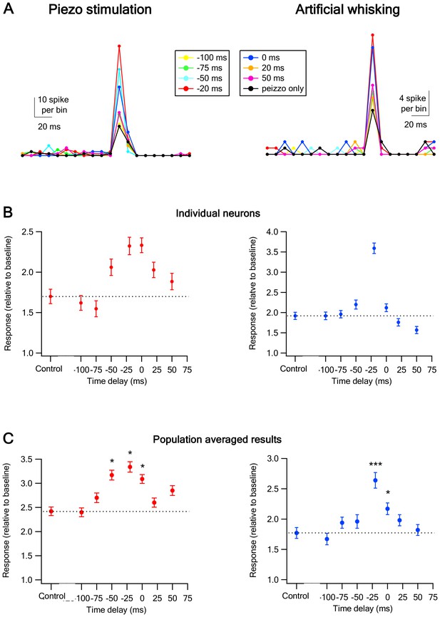 Feedforward Motor Information Enhances Somatosensory Responses And