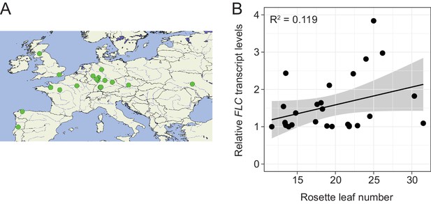 Figures and data in Natural haplotypes of FLM non-coding sequences fine ...