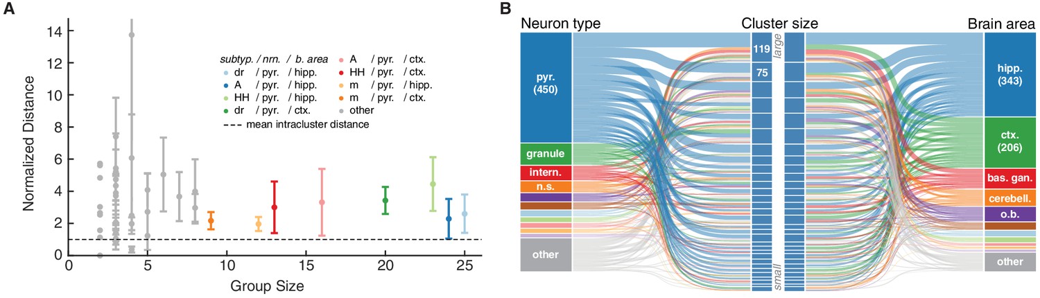 From Ionic Channels to Neural Networks Modeling in the Neurosciences