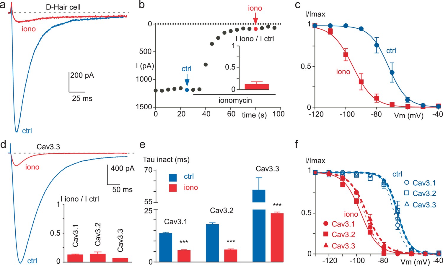 Figures And Data In Activity Dependent Regulation Of T Type Calcium