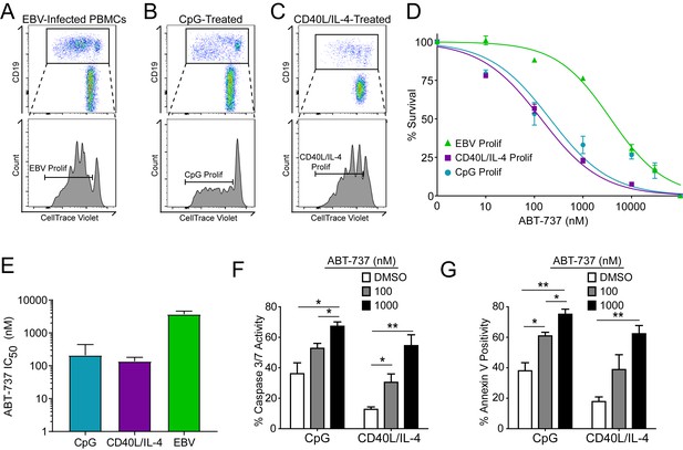 Epstein-Barr virus ensures B cell survival by uniquely modulating ...