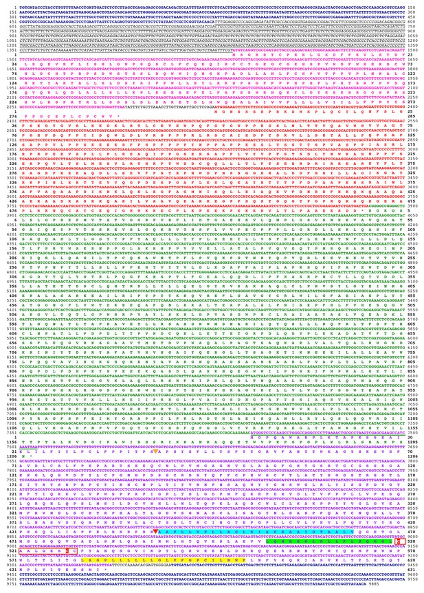 Figures and data in Co-option of an endogenous retrovirus envelope for ...