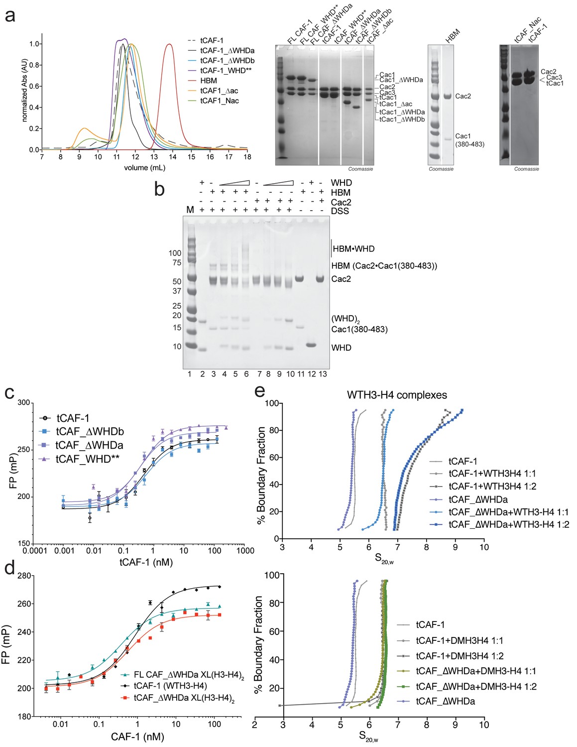 Figures and data in DNA-mediated association of two histone-bound ...