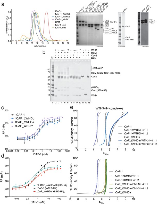 Figures And Data In Dna-mediated Association Of Two Histone-bound 