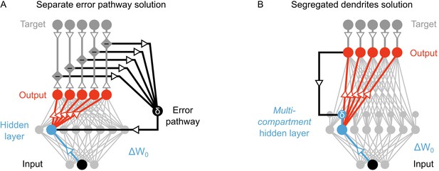 Towards Deep Learning With Segregated Dendrites | ELife