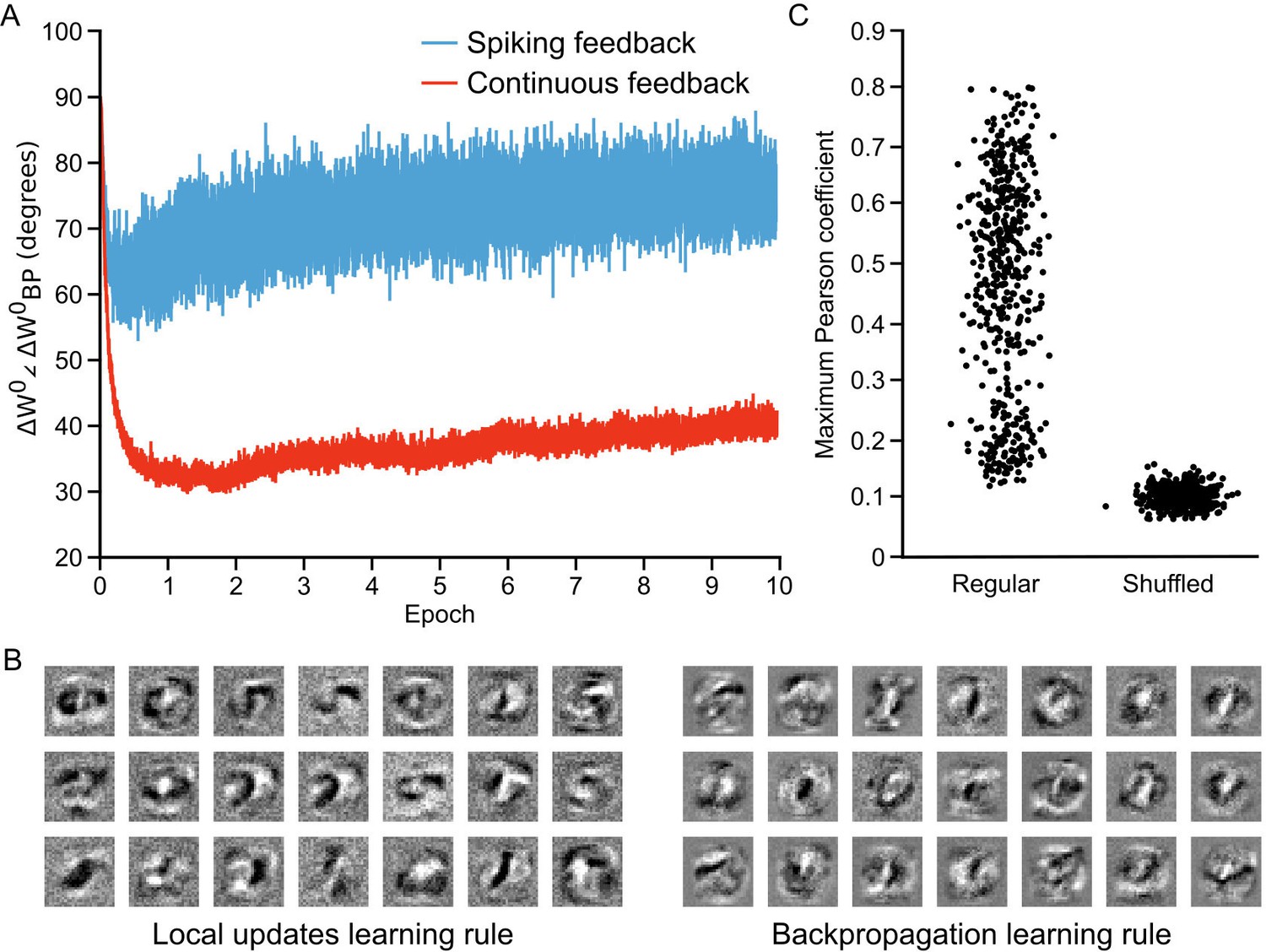 Figures And Data In Towards Deep Learning With Segregated Dendrites | ELife