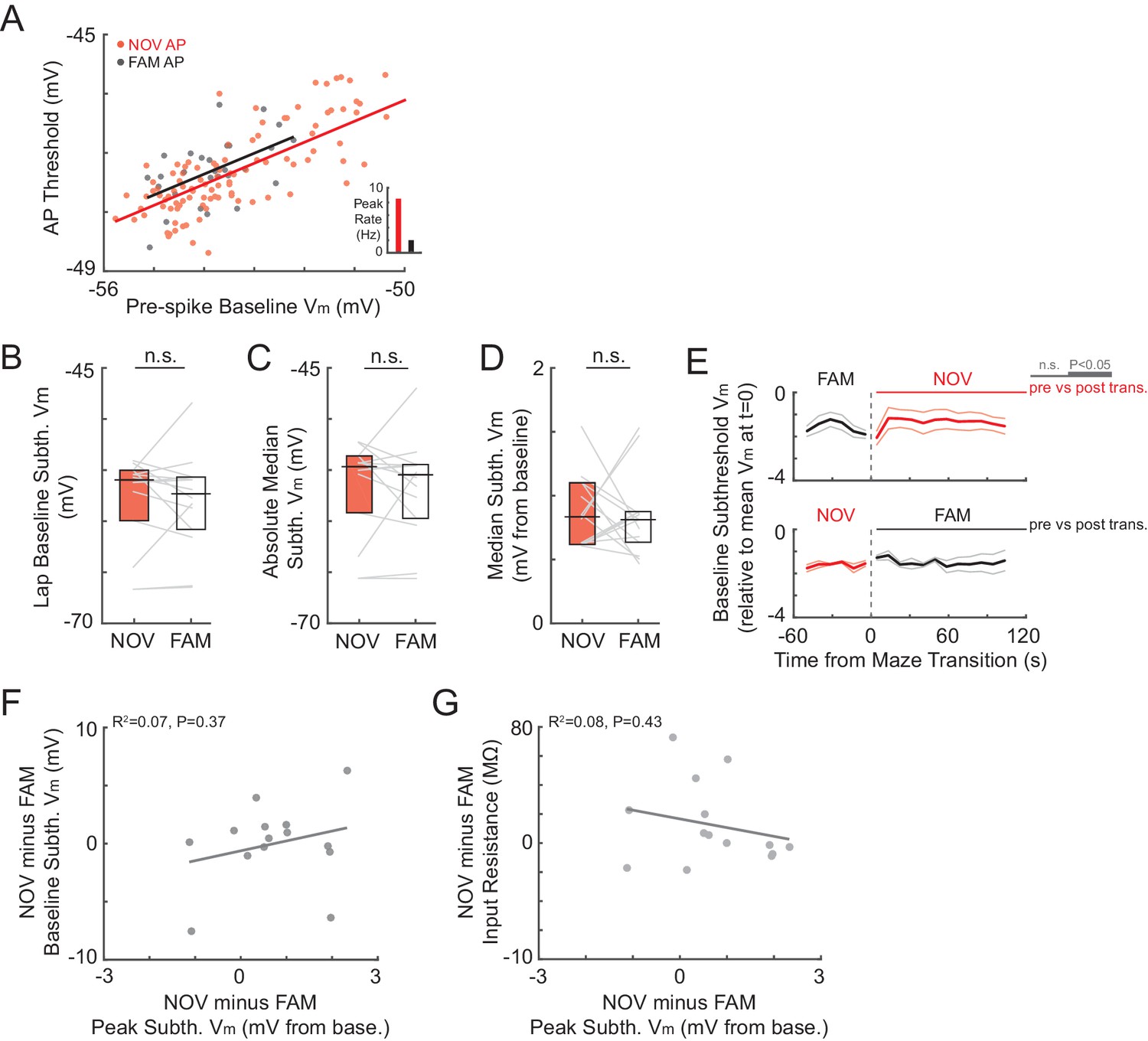 Figures and data in Experience-dependent shaping of hippocampal CA1 ...