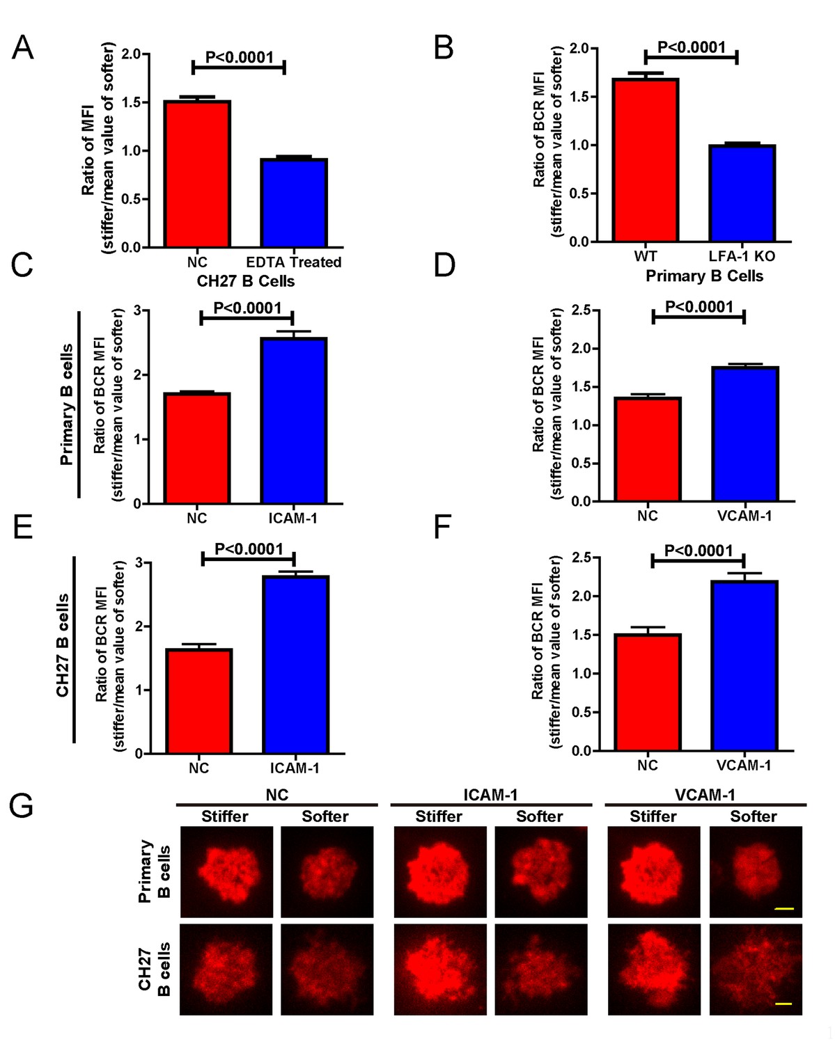 Figures And Data In Substrate Stiffness Governs The Initiation Of B ...