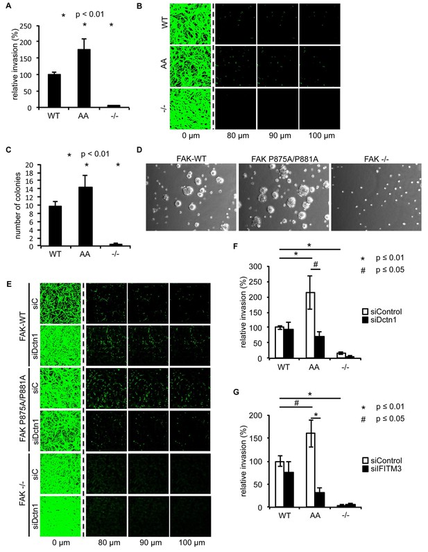 Ambra1 Spatially Regulates Src Activity And Src Fak-mediated Cancer 