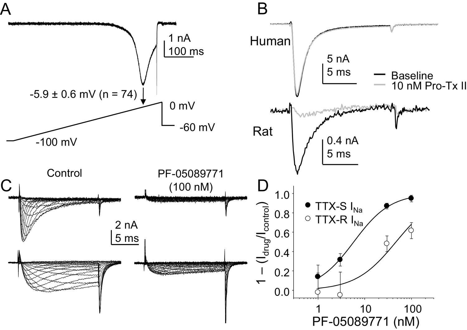 Figures And Data In Voltage Gated Na Currents In Human Dorsal Root