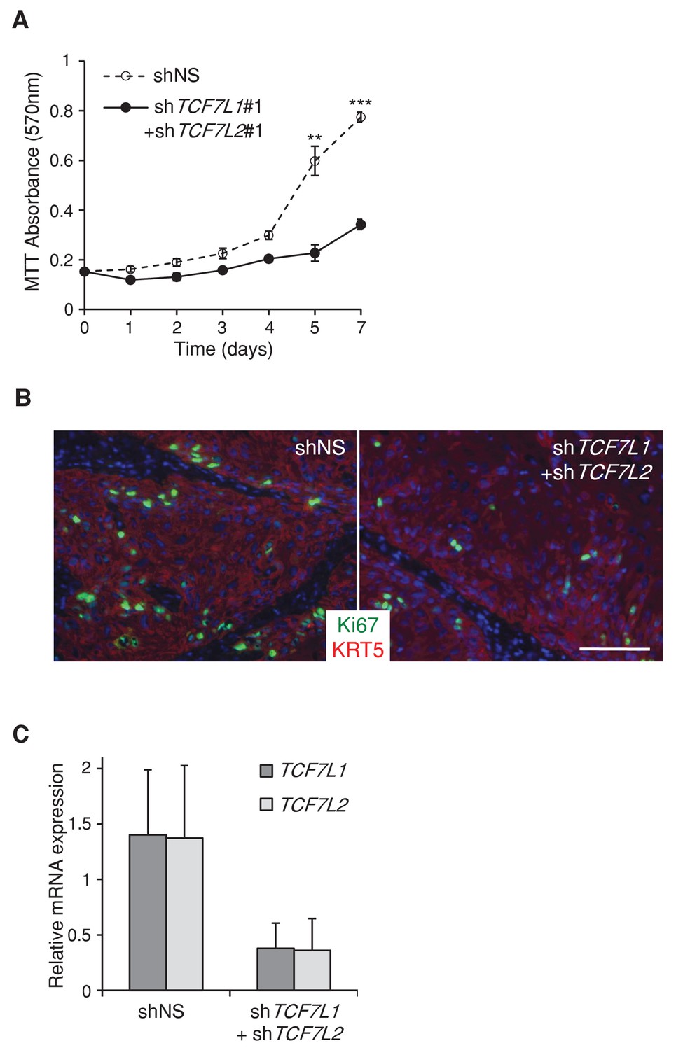 Figures And Data In Tcf L Promotes Skin Tumorigenesis Independently Of