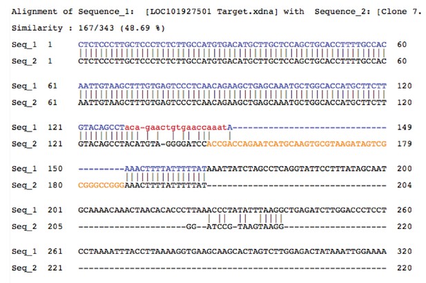 Figures and data in Prosurvival long noncoding RNA PINCR regulates a ...