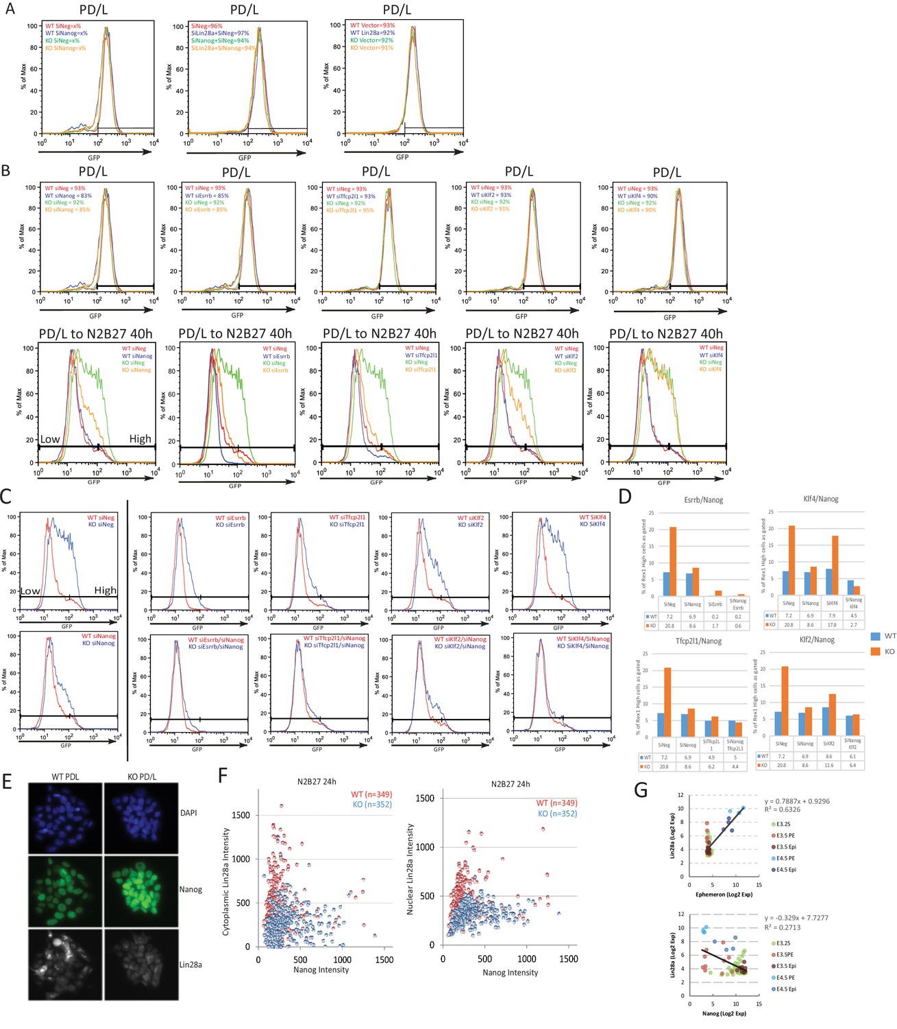 A lncRNA fine tunes the dynamics of a cell state transition