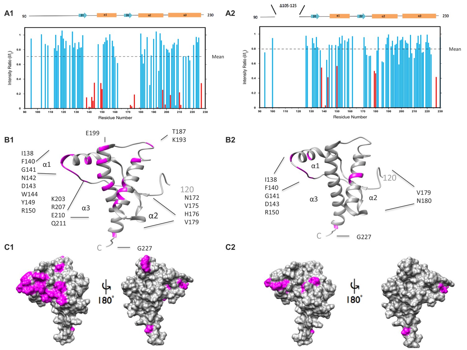 The N Terminus Of The Prion Protein Is A Toxic Effector Regulated By