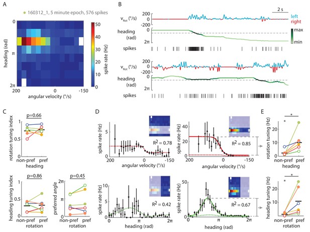 Angular velocity integration in a fly heading circuit | eLife