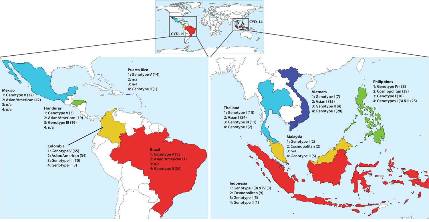 IDSA on X: New in CID: A #dengue vaccine candidate was efficacious against  symptomatic dengue in children and adolescents over 3 years  post-vaccination across 8 endemic countries. 📄:   #IDSAJournals #ClinInfectDis