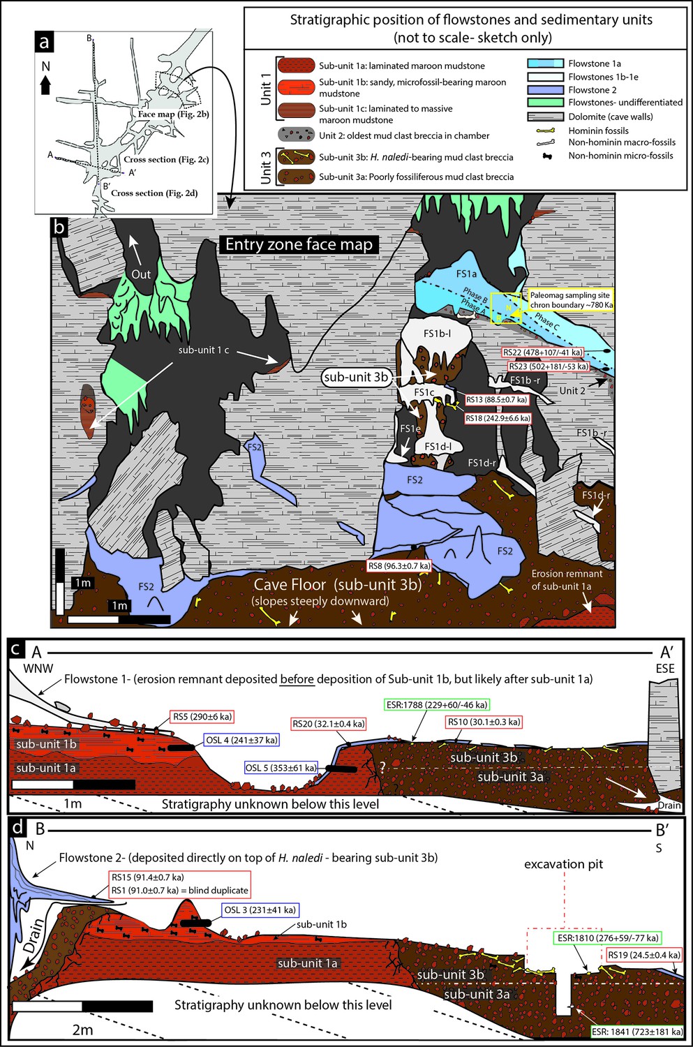 Figures And Data In The Age Of Homo Naledi And Associated Sediments In   Default 