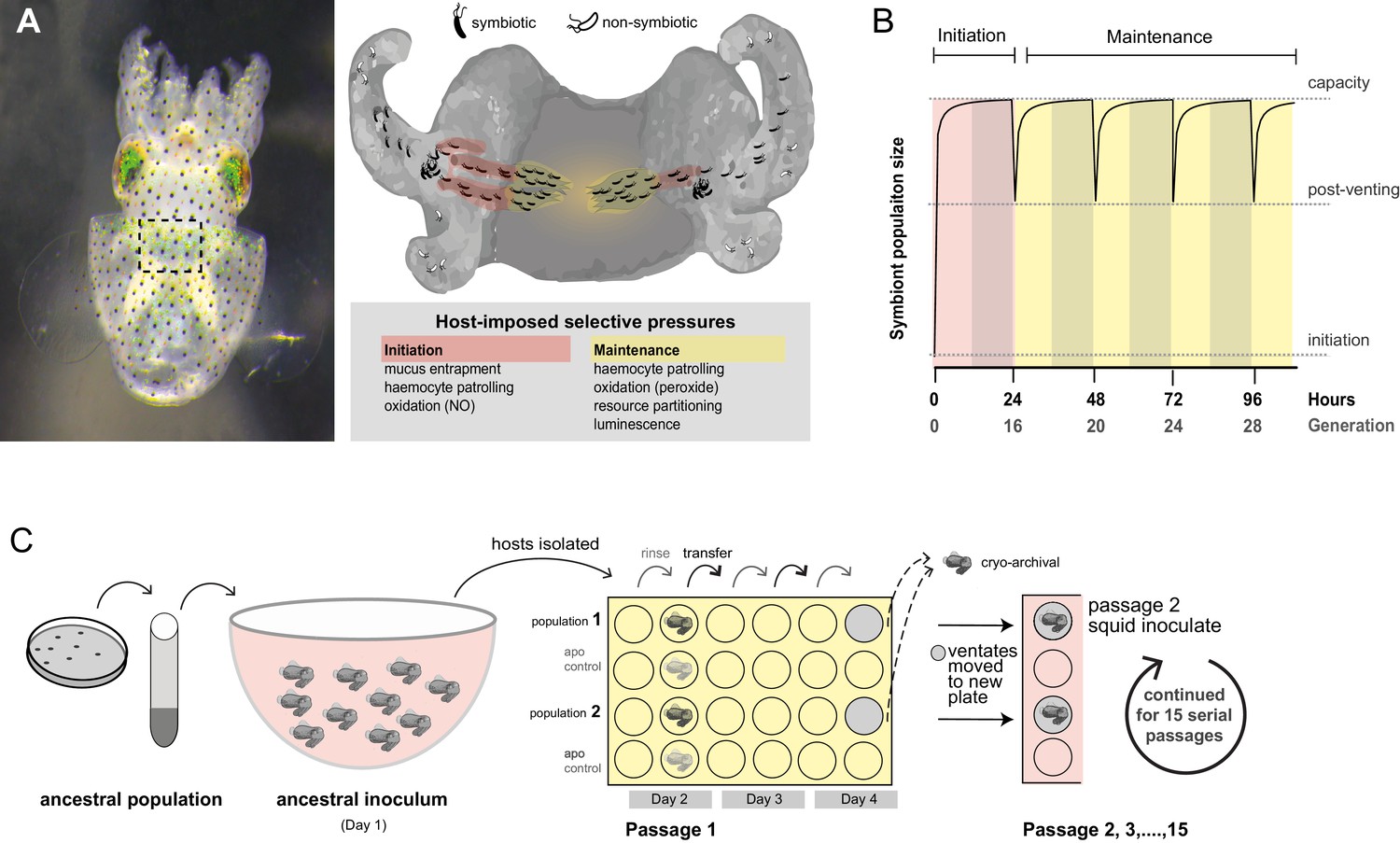 Figures And Data In Host-selected Mutations Converging On A Global ...