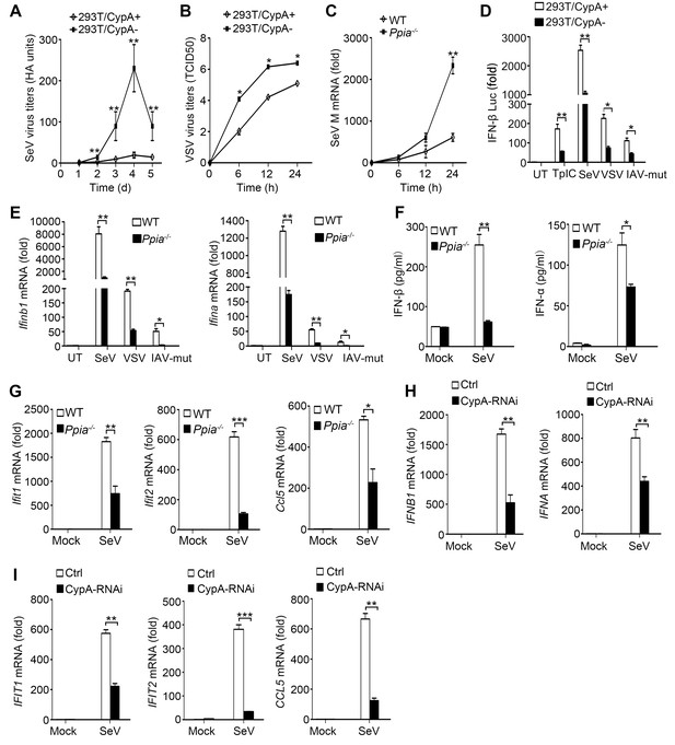 Cyclophilin A-regulated ubiquitination is critical for RIG-I-mediated ...