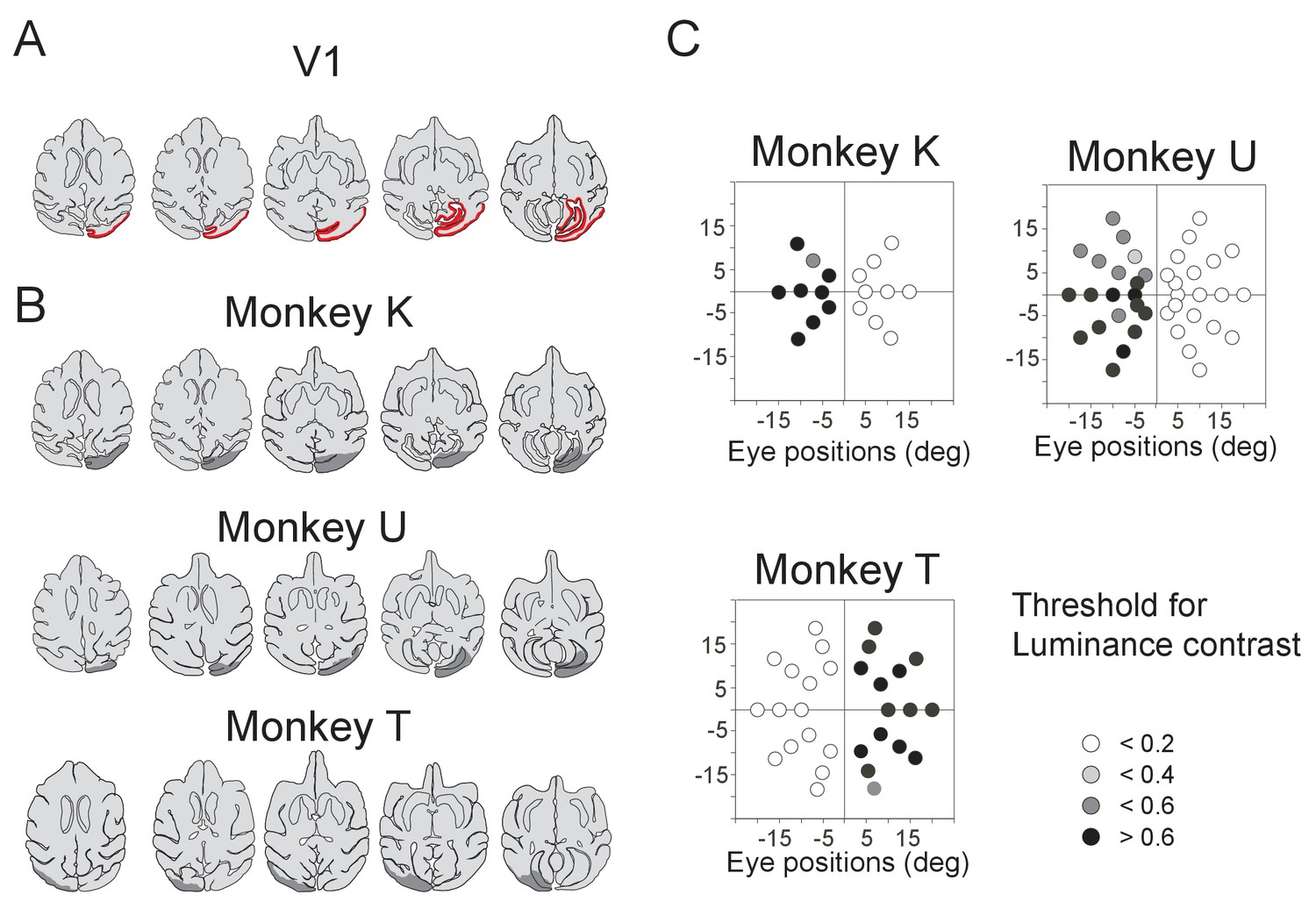 monkey dopamine experiment